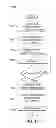 Fig. 11 - Automatication of a user transaction based upon scanned wireless signals