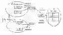 Fig. 01 - REDIRECTION METHOD AND APPARATUS FOR TERMINAL