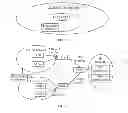 Fig. 02 - REDIRECTION METHOD AND APPARATUS FOR TERMINAL