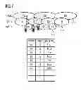 Fig. 06 - Method for Self-Optimized Interworking Between Radio Access Networks
