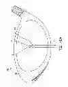Fig. 82 - Golf club face