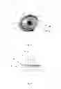 Fig. 02 - GOLF TEE INSERTION TOOL