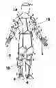 Fig. 01 - INTEGRATOR FOR GLOBAL ELASTIC MOTION MODE OF HUMAN BODY