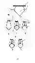 Fig. 22 - FABRIC FASTENING METHOD AND DEVICE FOR CARRYING OUT THE SAID METHOD