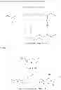Fig. 09 - Methods of synthesizing hydrous zirconium oxide and other oxides