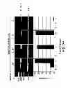Fig. 07 - In vitro sorting method