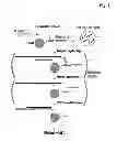 Fig. 02 - Miniaturized, high-throughput nucleic acid analysis