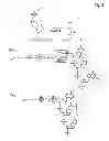 Fig. 03 - Miniaturized, high-throughput nucleic acid analysis