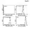 Fig. 05 - Miniaturized, high-throughput nucleic acid analysis