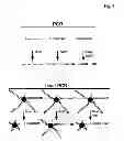 Fig. 06 - Miniaturized, high-throughput nucleic acid analysis