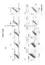Fig. 07 - Detection of human umbilical cord tissue derived cells