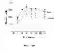 Fig. 06 - Use of Leptin for Treating Human Lipoatrophy and Method of Determining Predisposition to Said Treatment