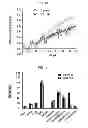 Fig. 02 - PEPTIDE FOR SUPPRESSING AND TREATING OBESITY