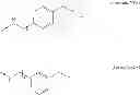 Fig. 09 - N-terminal modified FGF21 compounds