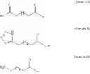 Fig. 24 - N-terminal modified FGF21 compounds