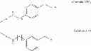Fig. 55 - N-terminal modified FGF21 compounds