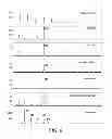 Fig. 20 - Microorganisms genetically engineered to have modified N-glycosylation activity