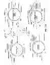 Fig. 45 - Microorganisms genetically engineered to have modified N-glycosylation activity