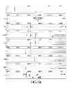 Fig. 49 - Microorganisms genetically engineered to have modified N-glycosylation activity