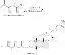 Fig. 32 - Anti-diabetic compounds