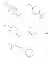 Fig. 08 - B-RAF kinase inhibitors