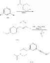 Fig. 65 - B-RAF kinase inhibitors