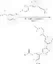Fig. 90 - B-RAF kinase inhibitors