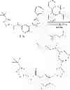 Fig. 97 - B-RAF kinase inhibitors