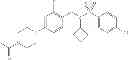 Fig. 166 - Benzyl sulfonamide derivatives as RORc modulators
