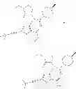Fig. 167 - COMPOUNDS AND METHODS FOR THE TREATMENT OR PREVENTION OF FLAVIVIRUS INFECTIONS