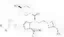 Fig. 197 - COMPOUNDS AND METHODS FOR THE TREATMENT OR PREVENTION OF FLAVIVIRUS INFECTIONS