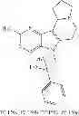 Fig. 1237 - Compounds and methods for treating diabetes