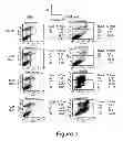 Fig. 06 - COMPOSITIONS AND METHODS FOR THE TREATMENT OF DISEASE ASSOCIATED WITH TRP-P8 EXPRESSION