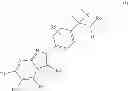 Fig. 02 - Substituted imidazo[1,2-a]pyrimidines and —pyridines