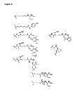 Fig. 09 - Small-molecule-targeted protein degradation