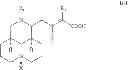 Fig. 33 - MATRINIC ACID/MATRINE DERIVATIVES AND PREPARATION METHODS AND USES THEREOF