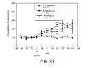 Fig. 24 - CRYSTALLINE FORMS OF 4-[2-(4-METHYLPHENYLSULFANYL)-PHENYL] PIPERIDINE WITH COMBINED SEROTONIN AND NOREPINEPHRINE REUPTAKE INHIBITION FOR THE TREATMENT OF NEUROPATHIC PAIN