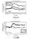 Fig. 26 - CRYSTALLINE FORMS OF 4-[2-(4-METHYLPHENYLSULFANYL)-PHENYL] PIPERIDINE WITH COMBINED SEROTONIN AND NOREPINEPHRINE REUPTAKE INHIBITION FOR THE TREATMENT OF NEUROPATHIC PAIN