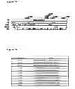 Fig. 08 - Antisense oligonucleotides directed against connective tissue growth factor and uses thereof