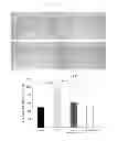 Fig. 07 - Compound accelerating secretion of human-derived anti-microbial peptide, method for preparing same, and composition having same as active ingredient