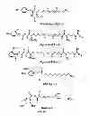 Fig. 06 - CALCIUM RECEPTOR-ACTIVE MOLECULES