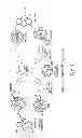 Fig. 02 - DRUG DELIVERY VEHICLES, METHODS OF MANUFACTURE, AND METHODS OF USE THEREOF