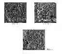 Fig. 02 - Renewable and cost-effective fillers for polymeric materials