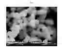 Fig. 02 - Spherical, amorphous calcium carbonate particles