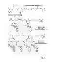 Fig. 02 - Cyclodextrin-based polymers for therapeutics delivery