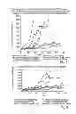 Fig. 07 - Cyclodextrin-based polymers for therapeutics delivery