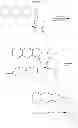 Fig. 43 - Cyclodextrin-based polymers for therapeutics delivery