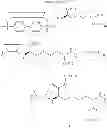 Fig. 49 - Cyclodextrin-based polymers for therapeutics delivery