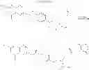 Fig. 71 - Cyclodextrin-based polymers for therapeutics delivery