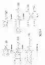 Fig. 07 - Recombinantly expressed insulin polypeptides and uses thereof